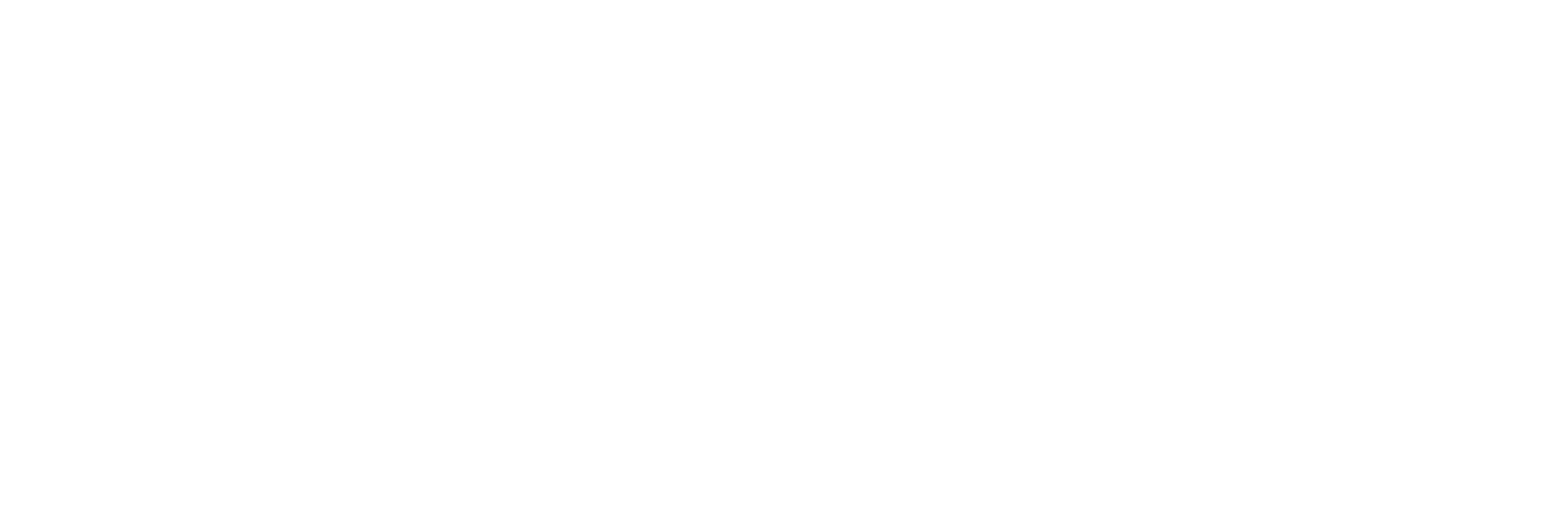 Pace-Logo-RGB-white-Sep26